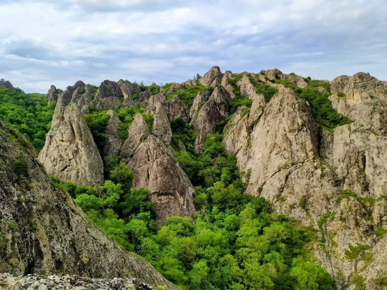 Лесная тропа между скалами Биртвиси