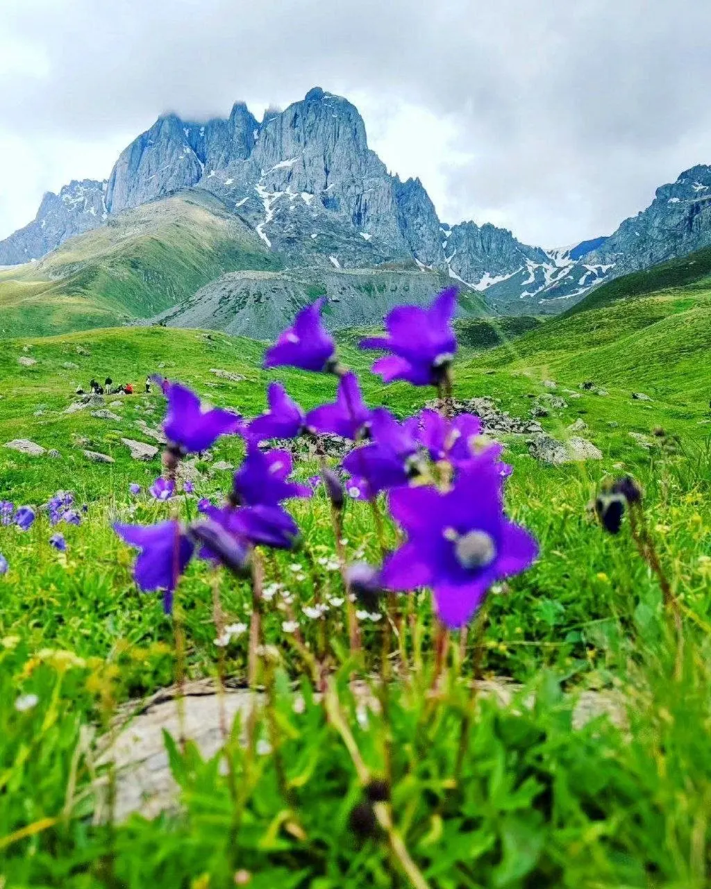 Альпийские луга Джуты и скальные вершины Чаухи