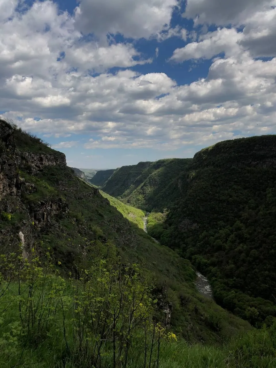 Каньон реки Храми у Самшвилде